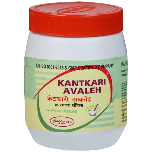 Nagarjun Kantkari Avaleh 200 g