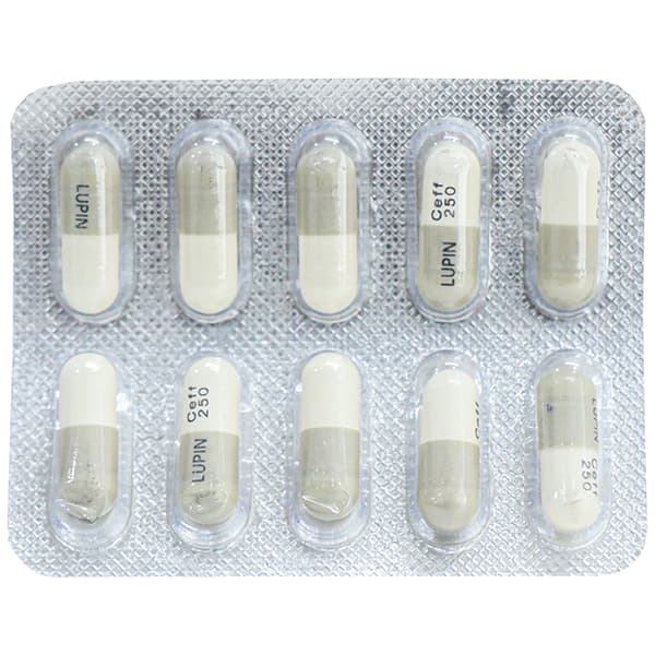 Ceff 250 mg Capsule (10 Cap)