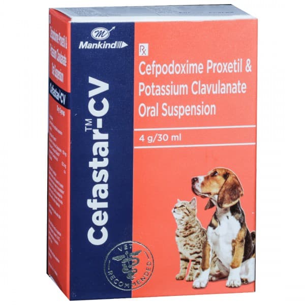 Cefastar CV Veterinary Dry Syrup 4 g/30 ml