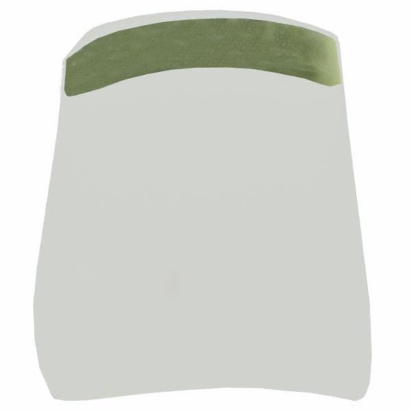 Face Shield (13" x 9")