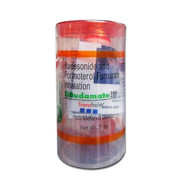 Budamate 100 mcg Transhaler 7.3 g (120 Metered Doses)