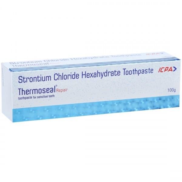 Thermoseal Repair Paste 100 g