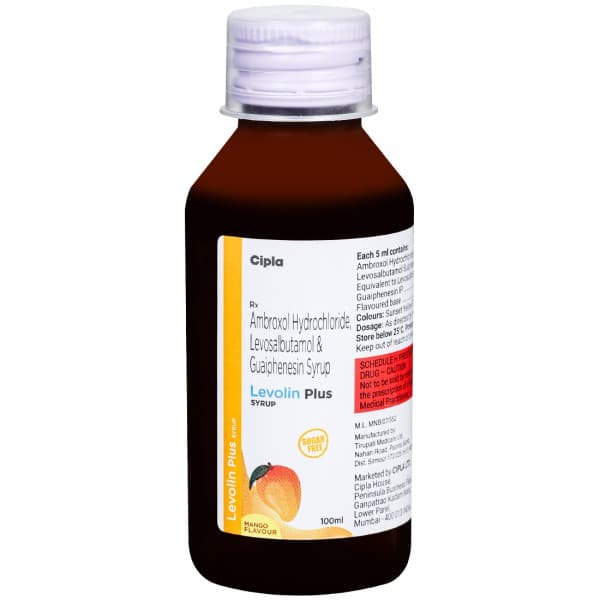 Levolin Plus Mango Flavour (Sugar Free) Syrup 100 ml