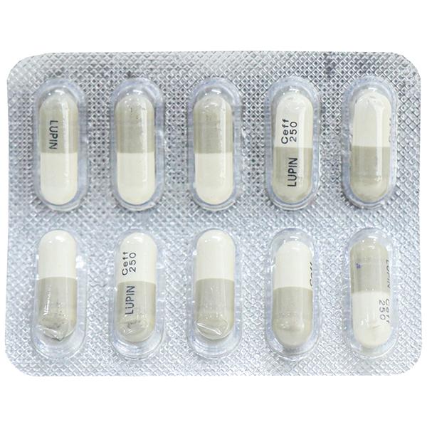 Ceff 250 mg Capsule (10 Cap)